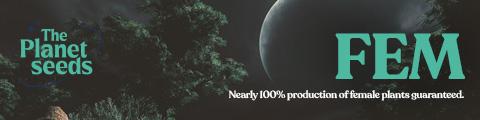 There are many reasons why growing from seed Mamiko Seeds Fem